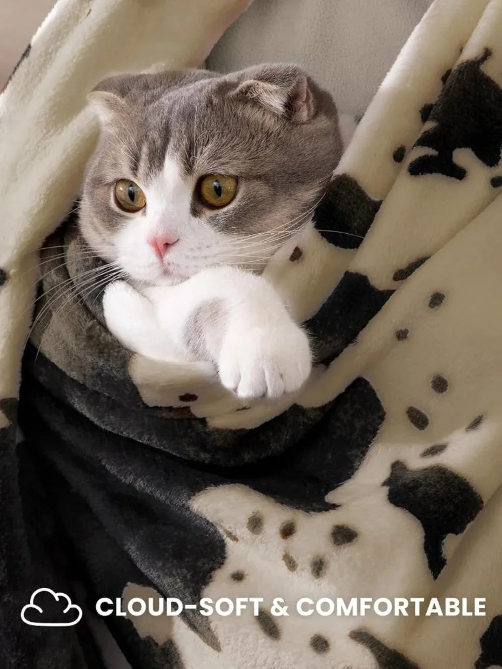 Cozy Cow Print Flannel Throw Blanket - Ultra Soft Lightweight Fleece, 50x60
